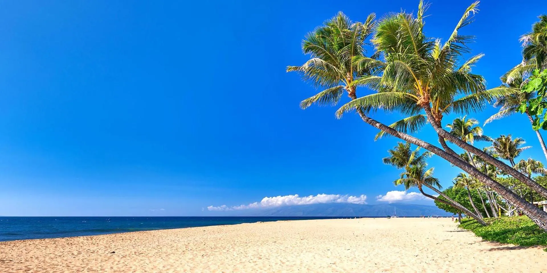 Kbm Resorts Free Car Honua Kai Konea Ocean View 2-Bedroom Condo Recently Remodeled Hkk-706